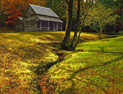 Cabin in the Woods by Phyllis Thompson