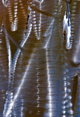 Burnished Metal #12 by Steve Levinson