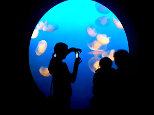 Looking into another world by Suzanne Vandivert