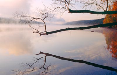 Hemlock Lake