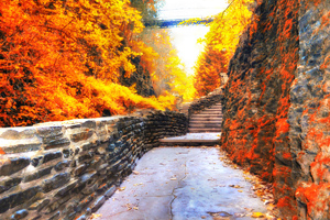 Walkway to the Bridge by Paul Drushler