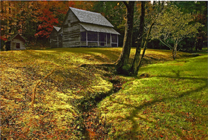 Cabin in the Woods by Phyllis Thompson