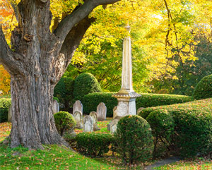 Cemetery by Jane Hopkins