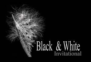 B and W Invitational Card -300