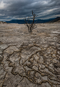 Desolation by Steve Levinson