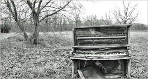 B&W Panoramic by Emily Kinney