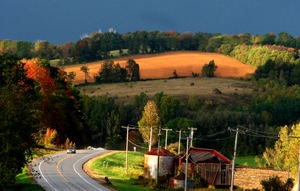 Route 246 by Don Fryling