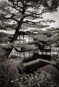 Golden Pavillion by Steve Levinson