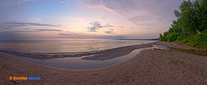 Summer Solstice 2011 by Sheridan Vincent