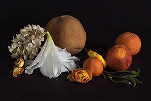 Still Life by Lauren Howe