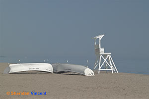 Charlotte Beach by Sheridan Vincent