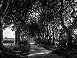 King's Road by Keaton