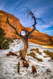 Ear of the Wind by Larry Mandelker