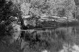 Pat Lake - Durand Eastman Park by Steve Tryon