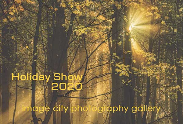 Holiday Show 2020 Postcard