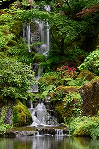 Japanese Gardens by Diane Dersch