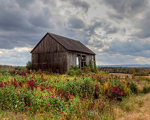 Barn Glory by Joyce Freitas