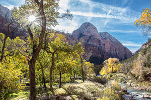 Zion-Starburst by Martha Price