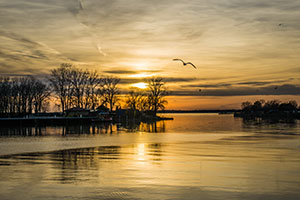 Sunset-at-Canalside Buffalo by Sandi Osterwise