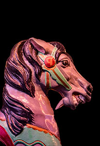 Santa Fe Carousel by Steve Levinson