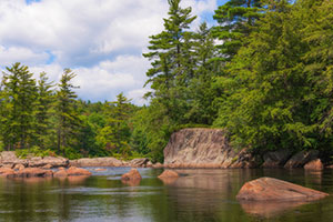 Summer on Moose River by Marie Costanza