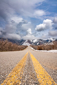 The Road Home by Larry Mendelker