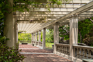 Eastman House Pergola by Sandi Osterwise