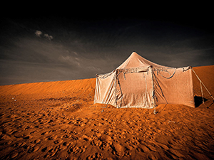 Fayoum Camp by Andrea Gluckman