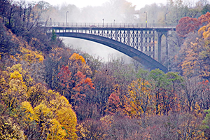 Bridge Over Color by Archie Curry