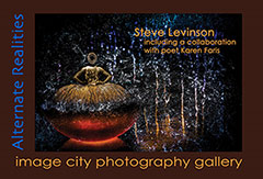 Levinson-240 Card