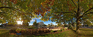 Oaks: Memorial Art Gallery by Sheridan Vincent