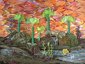 Survival of the Gingko by Marcia Zach and Michael Tomb