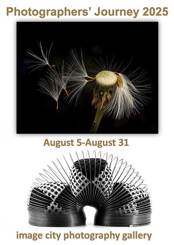 PJ25 Show Card