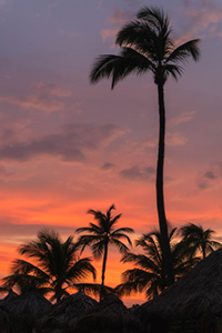 Fiery Sunset by Marie Costanza