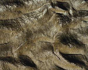 Patterns #2 by Dick Beery