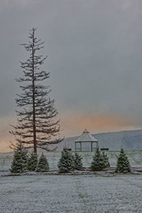 Hemlock Lake Park by Sheridan Vincent