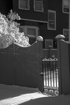 Illuminated Gate by Stephen Randell