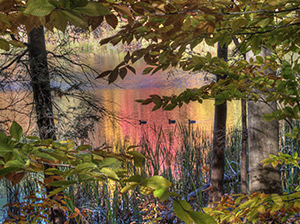 Dreaming of Paradise by David Kotok