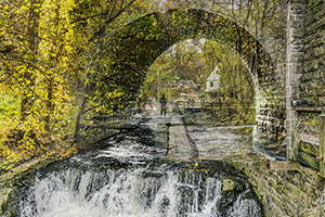 Not Going Out by Lisa Enterline