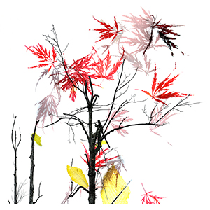 Because I'm Happy by Luann Pero