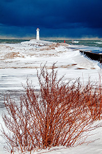 Scarlet Painted Branches by Michael Shoemaker