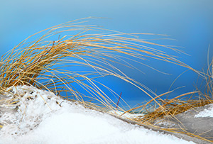 Whisper of Wind by d dargan teska