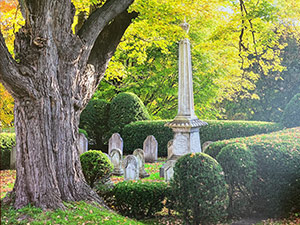 Conkling Family Plot by Jane Hopkins
