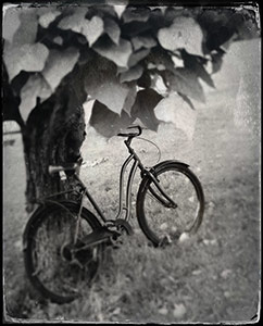 Where the Afternoon Waits by Lyn Harris