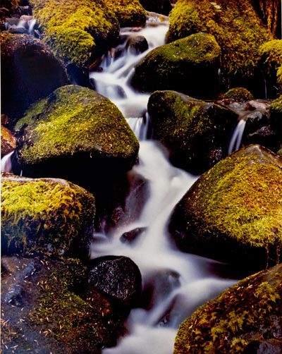 Mossy Cascade by Gary Thompson