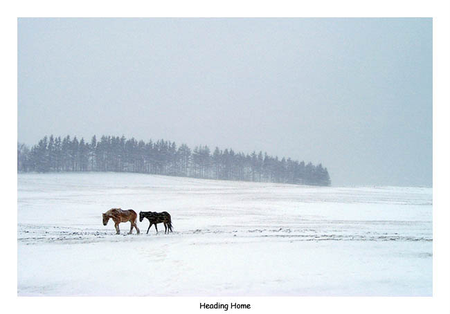 Heading Home by Bill Bernbeck